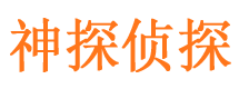 武冈市侦探